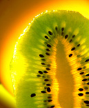 kiwi fruit