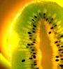 kiwi fruit
