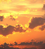 golden sky