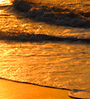 golden water