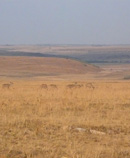 Nature Reserve
