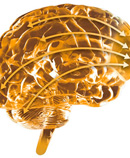 Ashley Deans Ph.D., Consciousness Based Educator