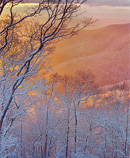 mountains