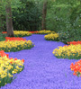 flower path