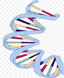 DNA