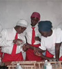 lab