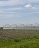 greenhouses
