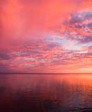 pink sunset