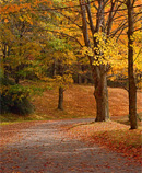 path