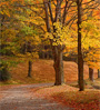 path