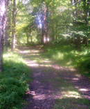 path