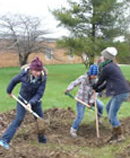 tree planting