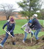 tree planting