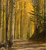 aspens