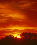 sun