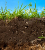 topsoil
