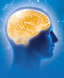 brain