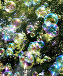 Bubbles