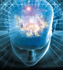 brain