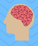 brain