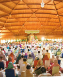 dome peace experts