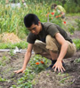 gardener