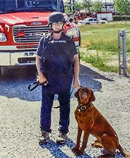 k 9 handler