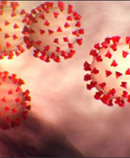 virus