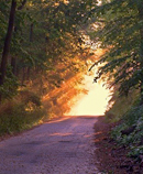 light path