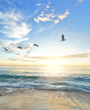 Ocean