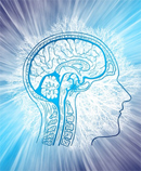 brain
