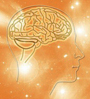 brain