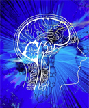 brain
