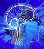 brain