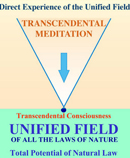 unified field