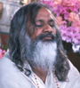 Maharishi